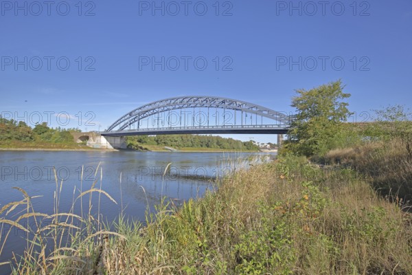 Star bridge over the Elbe, Elbe riverbank, arch bridge, steel construction, Rotehornpark, park, municipal park, Rotehorn, Magdeburg, Saxony-Anhalt, Germany