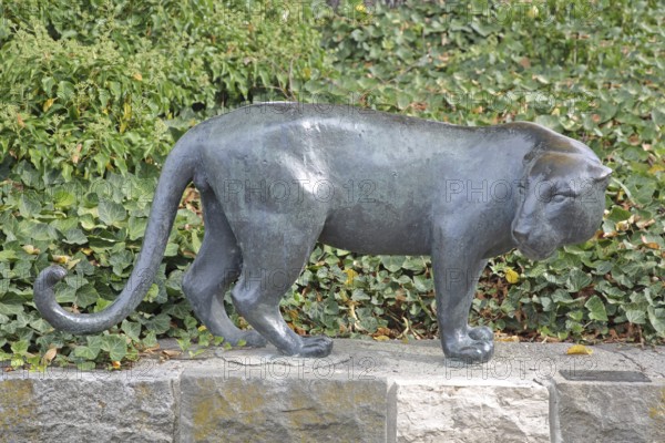 Sculpture Jaguar by Heinrich Drake 1938, grey, black, panther, bronze sculpture, life-size, modern art, animal figure, sculpture park, Magdeburg, Saxony-Anhalt, Germany