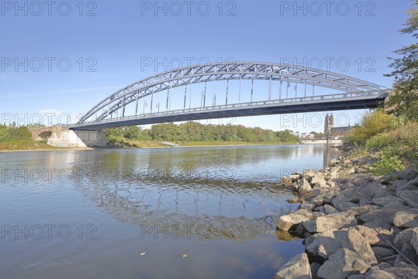 Star Bridge over the Elbe, Magdeburg Cathedral, banks of the Elbe, stones, arch bridge, steel construction, Rotehornpark, park, municipal park, Rotehorn, Magdeburg, Saxony-Anhalt, Germany