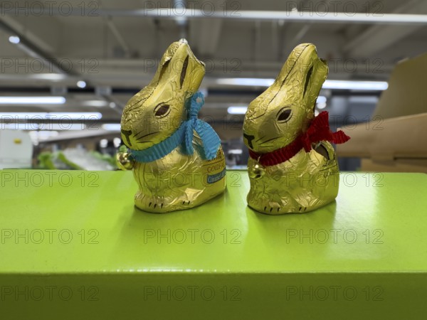 Two chocolate Easter bunnies in golden staniol paper, Germany