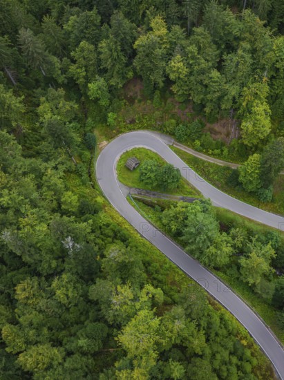 Sharp bend in a road surrounded by dense forest, Black Forest, Seebach, Germany