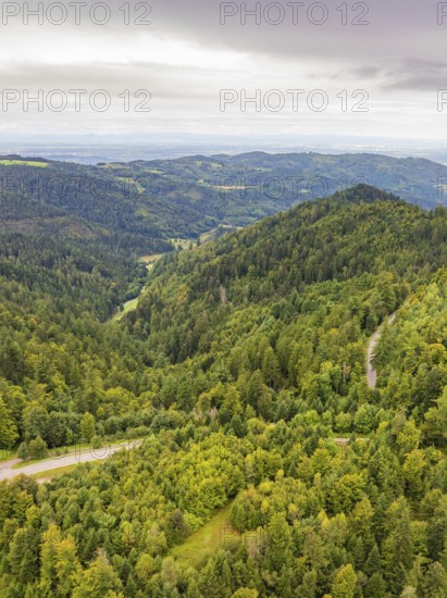 Winding road through dense green forests on gentle hills, Black Forest, Seebach, Germany