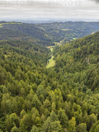 View of a wooded valley with green hills under a cloudy sky, Black Forest, Seebach, Germany