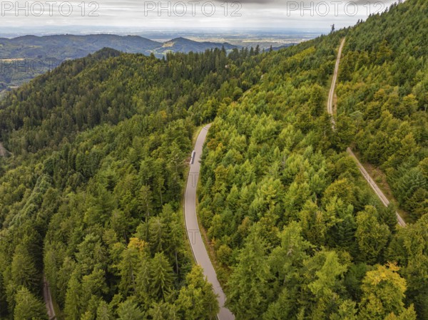 Winding road through dense green forests in a hilly landscape, Black Forest, Seebach, Germany