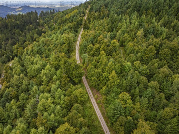 Aerial view of a winding road through dense forest, Black Forest, Seebach, Germany