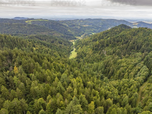Dense green forests stretching over rolling hills and valleys, Black Forest, Seebach, Germany
