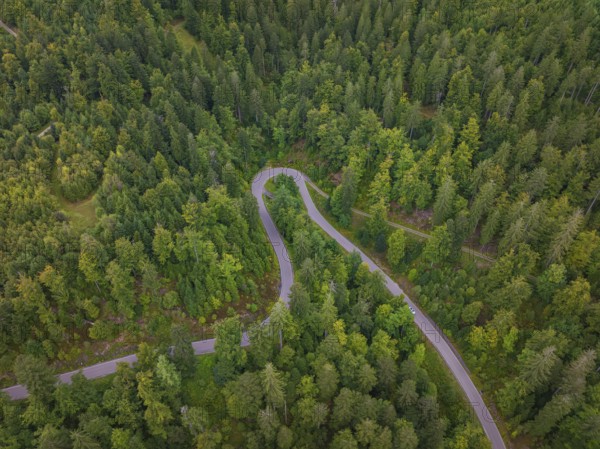Wooded road with curves seen from a bird's eye view, Black Forest, Seebach, Germany