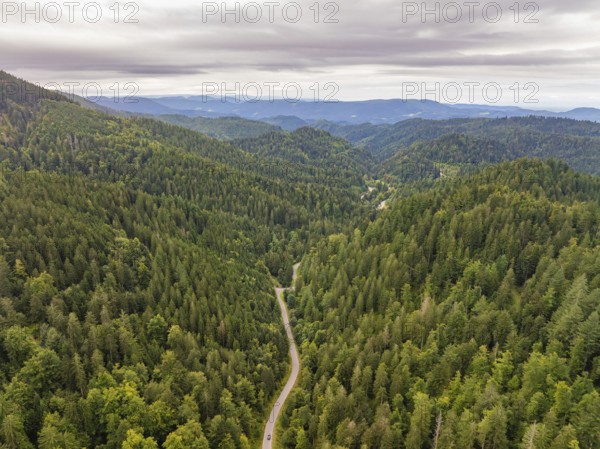 Aerial view of a winding road leading through densely forested mountains, Black Forest, Seebach, Germany