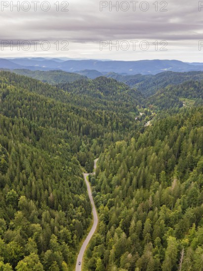 Paths in a green valley surrounded by dense forests under a cloudy sky, Black Forest, Seebach, Germany