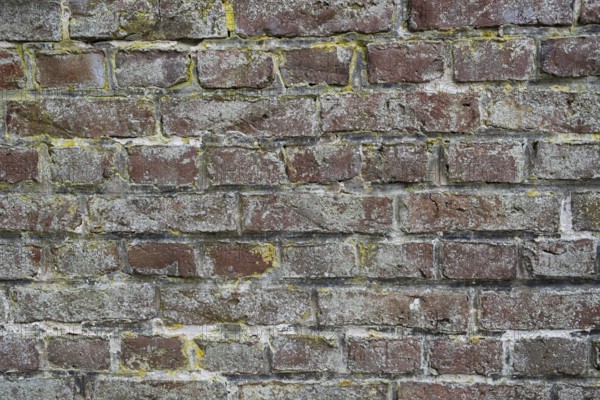 House wall, brick wall, brick wall, Münsterland, North Rhine-Westphalia, Germany
