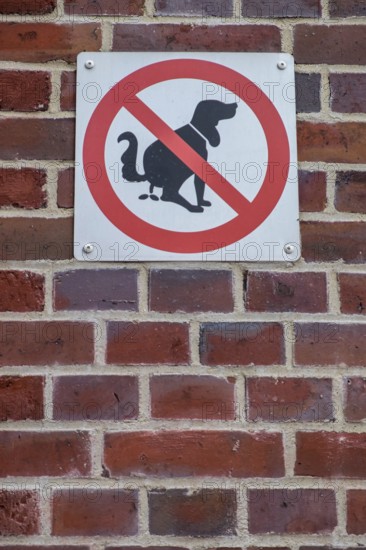 Prohibition sign, no dog toilet, no dog litter tray, Münsterland, North Rhine-Westphalia, Germany