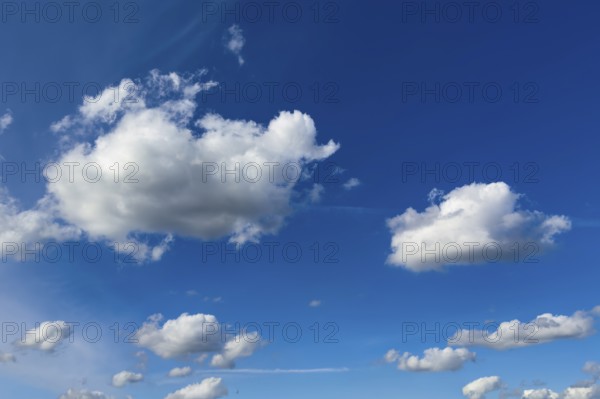 White light-coloured cumulus clouds Cumulus clouds Dense water clouds under a blue sky, international