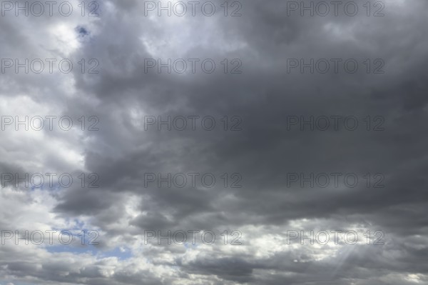 Extensive field of stratocumulus clouds, international