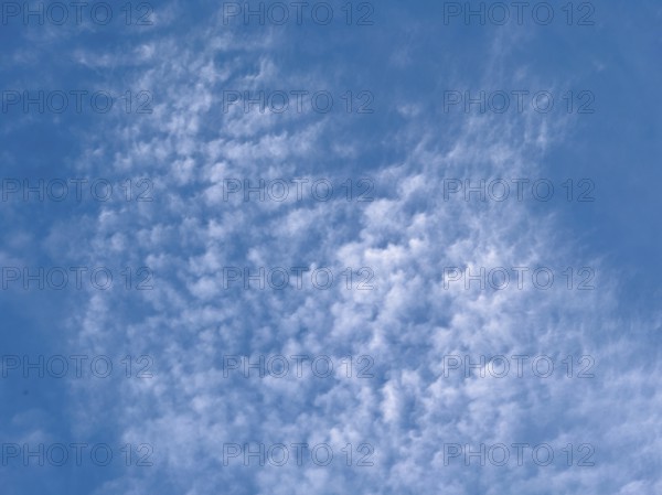 Large cloud field of cirrocumulus clouds high cumulus clouds, international