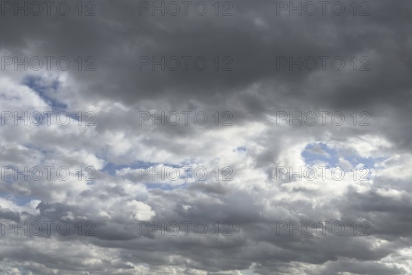 Large field of stratocumulus clouds, in the background altocumulus clouds under blue sky, international