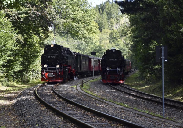 Steam locomotive, steam locomotives double exit on the Harz Narrow Gauge Railway, HSB, in the Harz Mountains near Eisfelder Talmühle, Thuringia, Germany