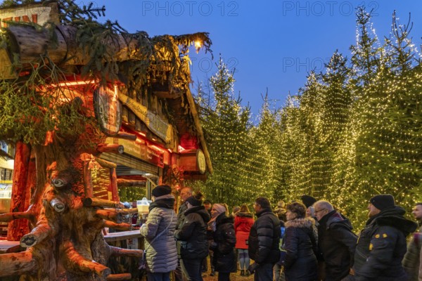 Christmas market and Christmas forest in the old town centre of Goslar at dusk, Lower Saxony, Germany