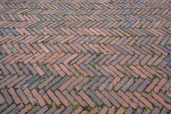 Clinker paving in herringbone pattern, Münsterland, North Rhine-Westphalia, Germany