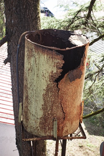 Rusty water tank on a tree stand showcasing decay and weathering in a rural setting