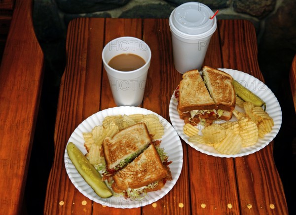 BLT, bacon, lattuce, tomato with chips and coffee in plastic cups, served in a diner, Marksboro, New Jersey, USA