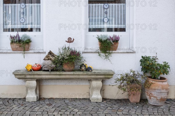 Stone bench with autumn decoration, Burgsteinfurt, Steinfurt, Münsterland, North Rhine-Westphalia, Germany