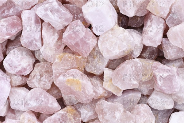 Close up of raw large rose quartz crystals. Natural pink gemstone chunks used for healing or decoration