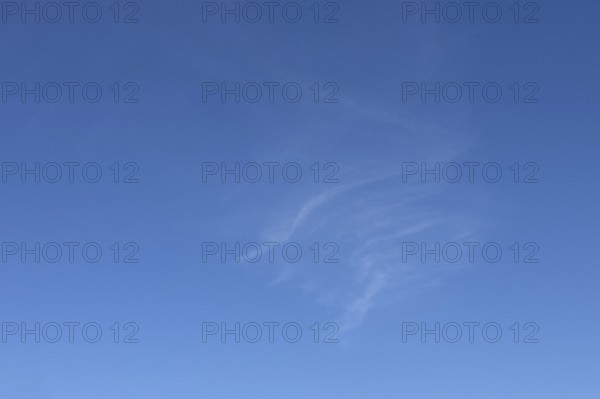 Delicate thin feather clouds Veil clouds Cirrus clouds Cirrus clouds under a blue sky, international