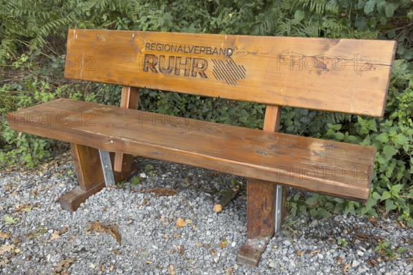 Wooden bench RVR bench with burnt-in lettering Regionalverband Ruhr in landscape conservation area nature reserve Köllnischer Wald, Bottrop, North Rhine-Westphalia, Germany
