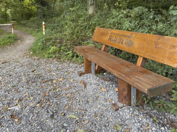 Wooden bench RVR bench with branded lettering Regionalverband Ruhr on cycle path Hiking trail in landscape conservation area Nature reserve Köllnischer Wald, Bottrop, North Rhine-Westphalia, Germany