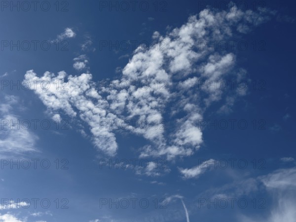 Many white cirrocumulus clouds small cluster clouds form cloud image like flying bird, natural photo, no AI photo, international