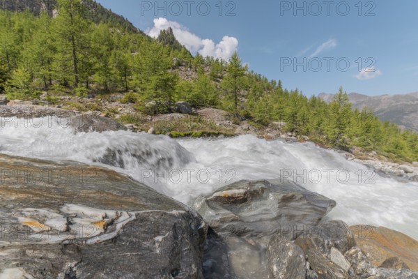 A rushing river cascades over smooth stones, surrounded by lush green trees and majestic mountains. The bright blue sky adds to the peaceful summer atmosphere. Grachen, Viege, Valais, Swiss