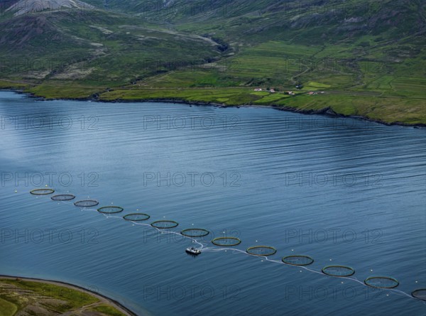 Mountains, fjord, coast, summer, aerial view, fish farm, salmon farm, farmed salmon, fishing, Faskrudsfjördur, East Fjords, Iceland