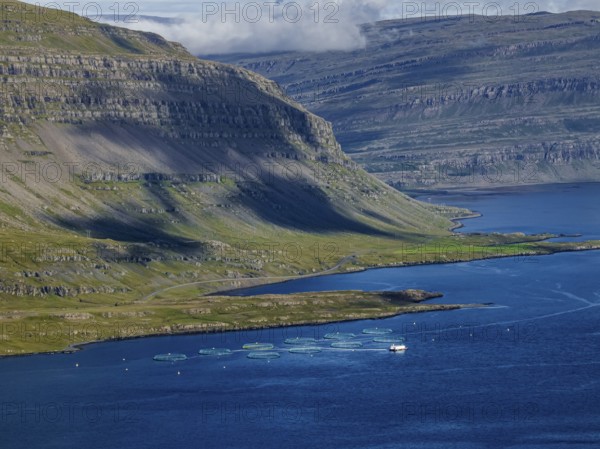 Mountains, fjord, coast, summer, aerial view, fish farm, salmon farm, farmed salmon, fishing, Berufjördur, East Fjords, Iceland