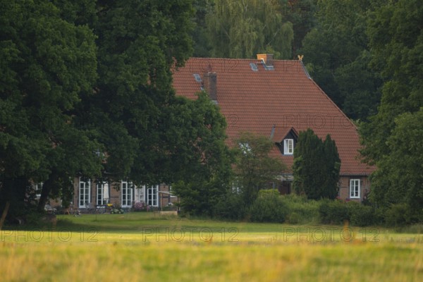 View across a meadow in the evening light to a farmhouse at the edge of the forest, Ahlden, district Heidekreis, Lower Saxony, Germany