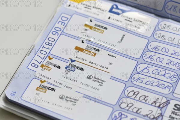 Germany - August 2025: Close up of dog vaccine passport with Eurican DAPPi Lmulti vaccination stamps. Veterinary proof of pet immunization