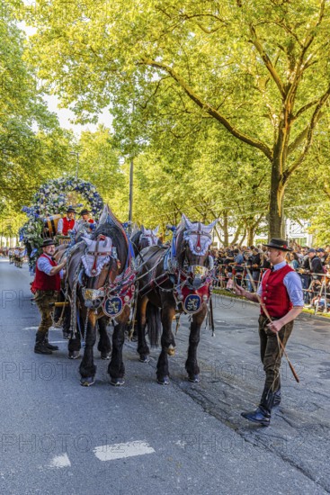 Splendid carriage of the Löwenbräu brewery, entry of the Oktoberfest hosts, Oktoberfest, Munich, Upper Bavaria, Bavaria, Germany