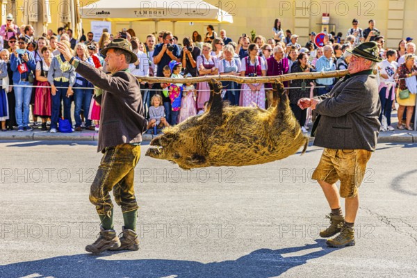 Members of the Bavarian Hunting Association from Munich carry a wild boar, Trachten- und Schützenzug, Oktoberfest, Munich, Upper Bavaria, Bavaria, Germany