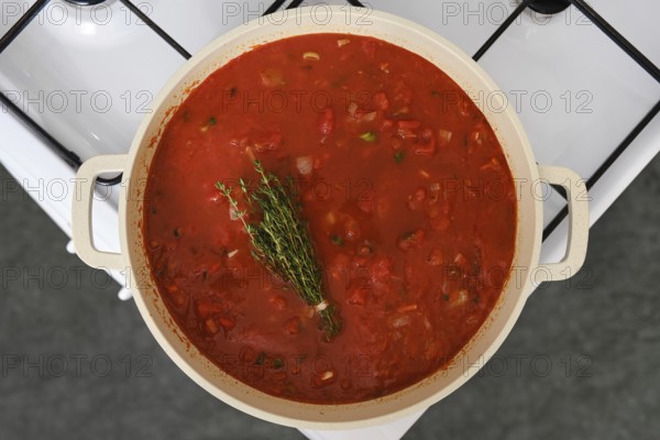 Close-up overhead view of a cast iron pot with tomato and bread soup on a gas stove