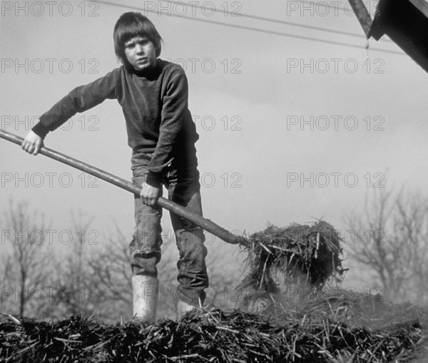 Boy, 10 years old, on a farm spreading cow dung on a dung heap, black and white, Franconia, Bavaria, Germany
