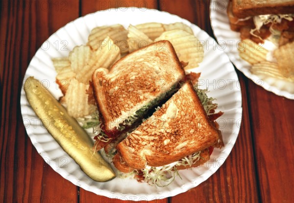 BLT, bacon, lattuce, tomato, with toast cucumber and chips on a paper plate, served in a diner, Marksboro, New Jersey, USA