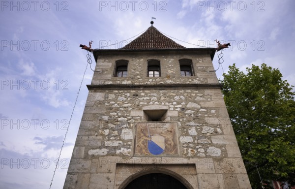 Historic defence defence tower, tower, coat of arms, Laufen Castle, Rhine Falls Schaffhausen, waterfall, Laufen-Uhwiesen, Canton Schaffhausen, Switzerland