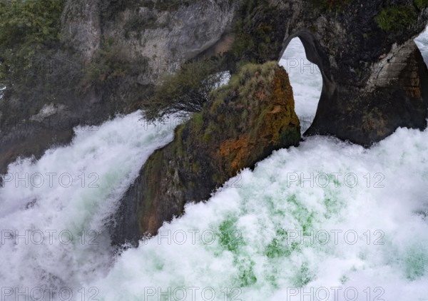 Rhine Falls Schaffhausen, waterfall, rock, centre rock, Canton Schaffhausen, Switzerland