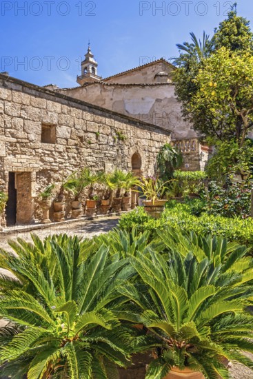 Lush green botanical garden a peaceful oasis at the Arab Baths in the old town in Palma a sunny warm summer day, Palma de Mallorca, Mallorca, Spain