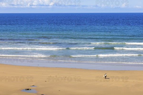 Surfer with a surfboard walking on a sandy beach by the sea with breaking waves and a seascape view towards the horizon a sunny summer day, Crozon Peninsula, Bretagne, France