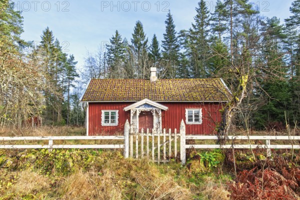 Red small wooden cottage with a fence and gate to the garden at the edge of the forest on a beautiful sunny autumn day, Sweden