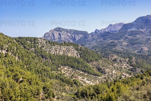 Scenics view at a mountainous valley landscape at the Serra de Tramuntana mountain range with green woodlands a sunny day, Mallorca, Spain