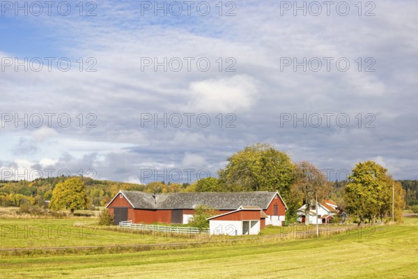 Farmhouse with a red barn in the countryside with fields and a grove of trees a beautiful sunny autumn day, Sweden