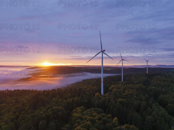 Wind turbines above a fog-covered forest in golden sunlight, sunrise, near Schorndorf, Rems-Murr district, Rems-Murr-Kreis, Baden-Württemberg, Germany