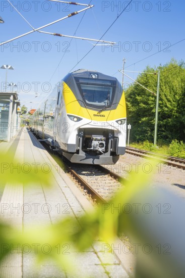 Modern white and yellow train against a green background, photographed from a distance, battery Electric train with green electricity, Siemens Mireo Plus B, Freudenstadt, Germany