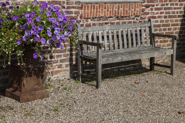 A wooden bench stands next to a lush flowerpot with purple flowers in front of a brick wall in the sun, North Rhine-Westphalia, Germany